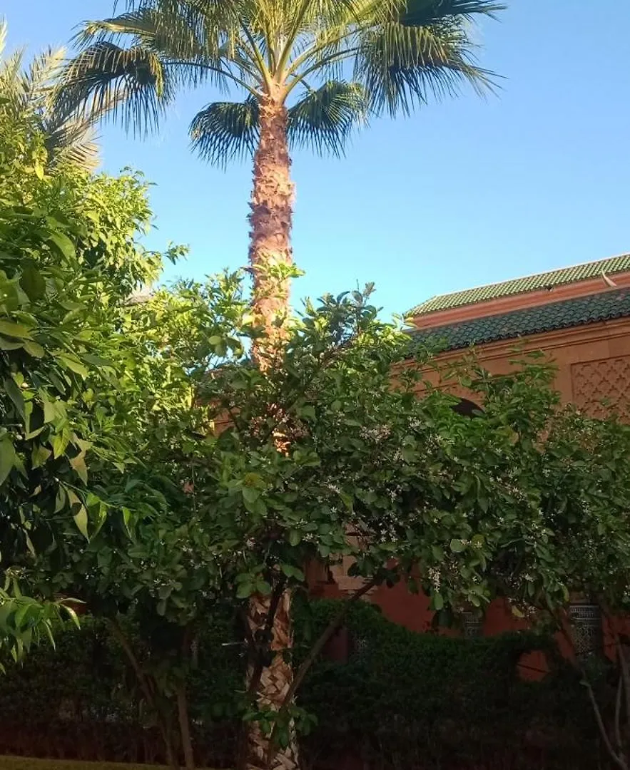 Riad Nour Resorts-Riad Nour Travel Marrakesh Morocco